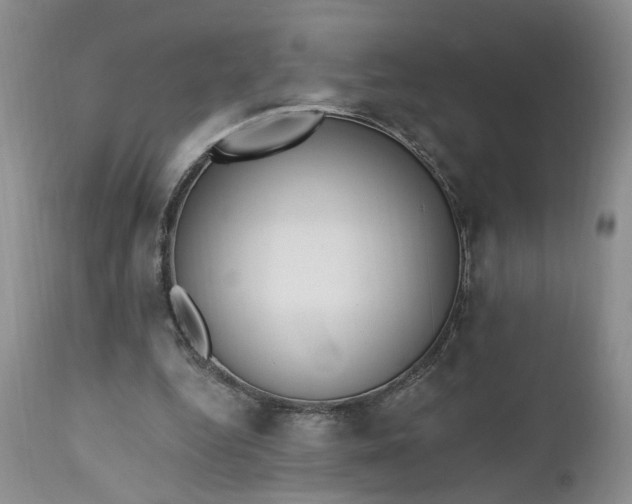 X0000112520344200908311403