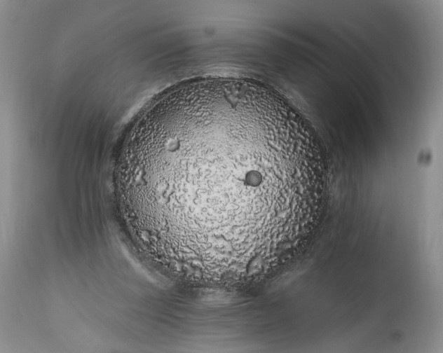 X0000112520347200908311403