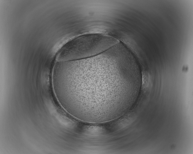 X0000112520348200908311403