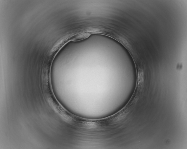 X0000112520349200908311403