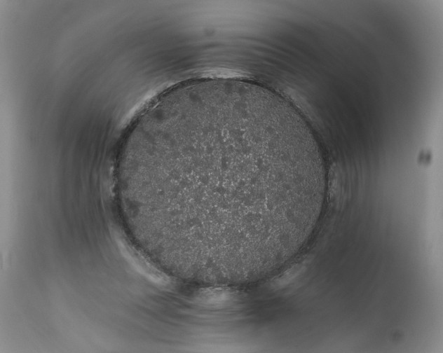 X0000112520351200908311403