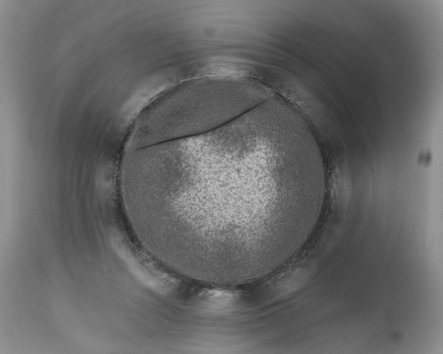 X0000112520352200908311403
