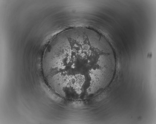 X0000112520353200908311403