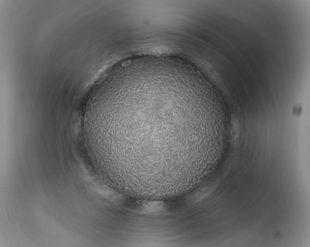 X0000112520355200908311403