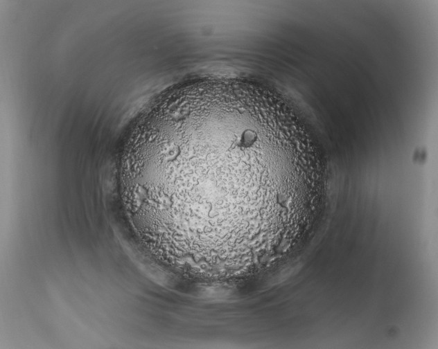X0000112520359200908311403