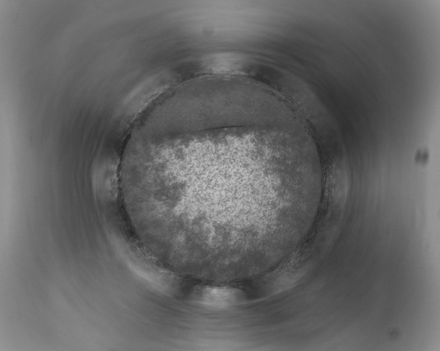X0000112520360200908311403