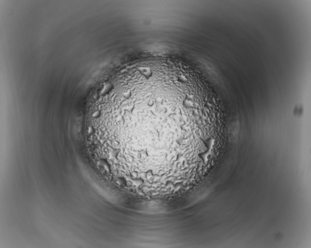 X0000112520365200908311403