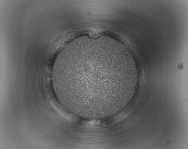 X0000112520366200908311403
