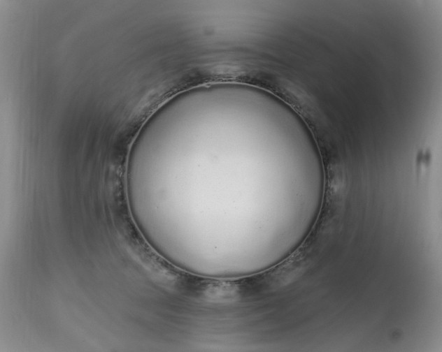 X0000112520369200908311403
