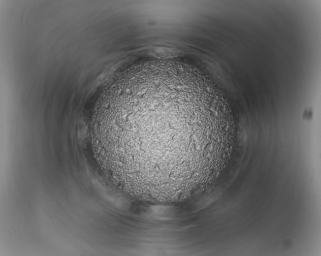 X0000112520371200908311403