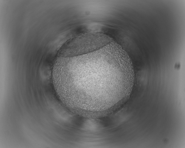 X0000112520372200908311403