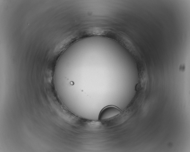 X0000112520374200908311403
