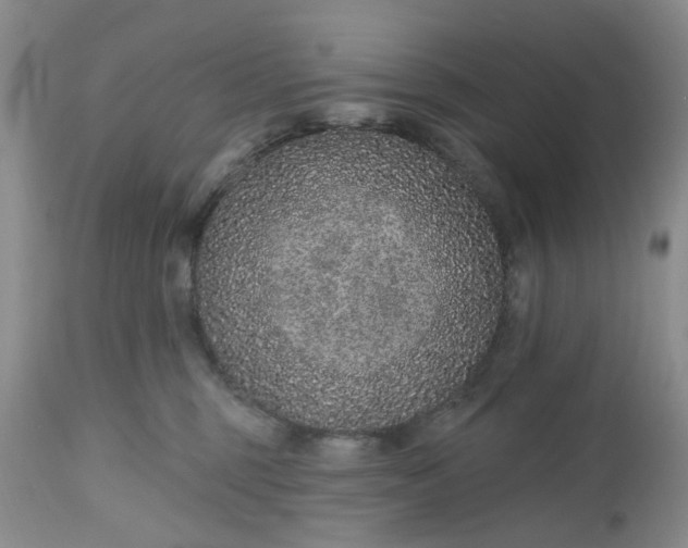 X0000112520375200908311403