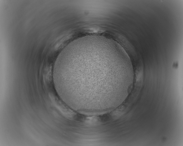 X0000112520376200908311403