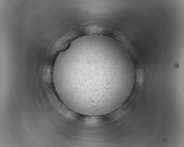 X0000112520378200908311403