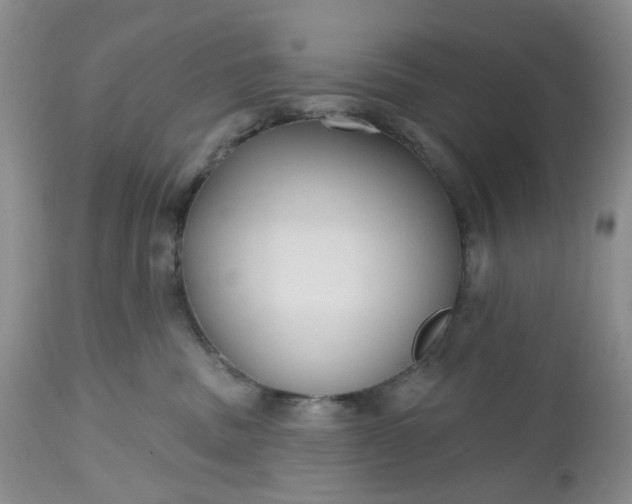 X0000112520379200908311403