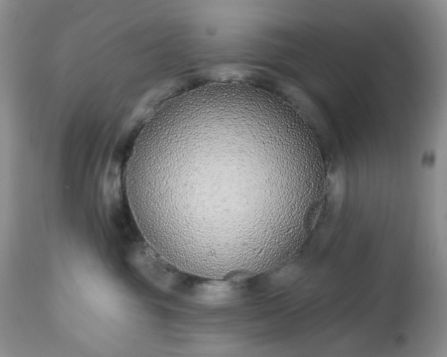 X0000112520381200908311403
