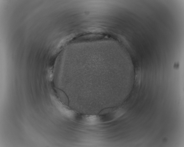 X0000112520383200908311403