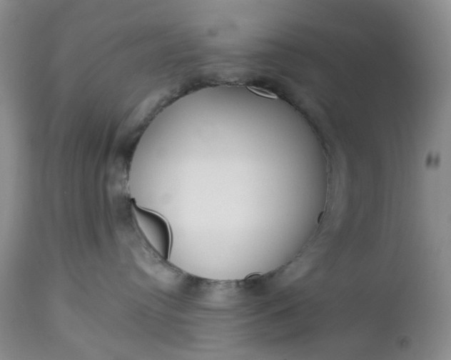 X0000112520384200908311403