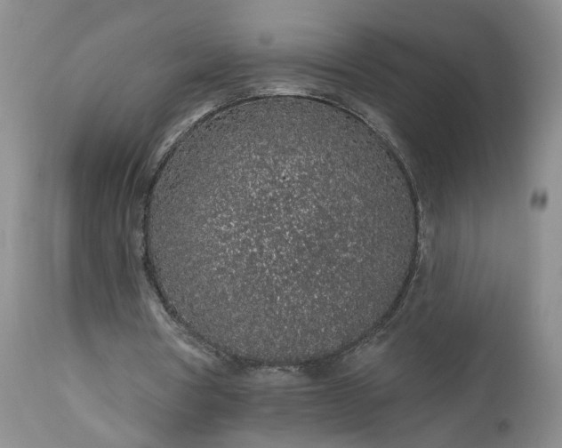 X0000112520386200908311403
