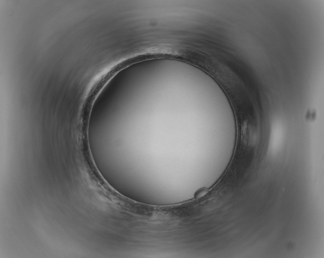 X0000112520388200908311402