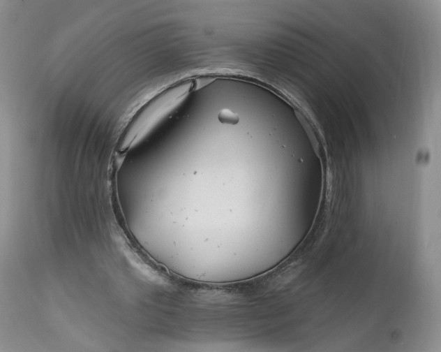 X0000112520389200908311402