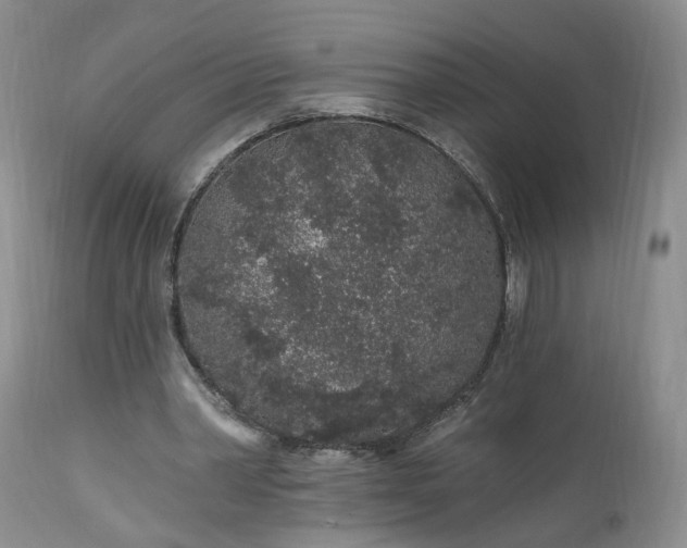 X0000112520390200908311402