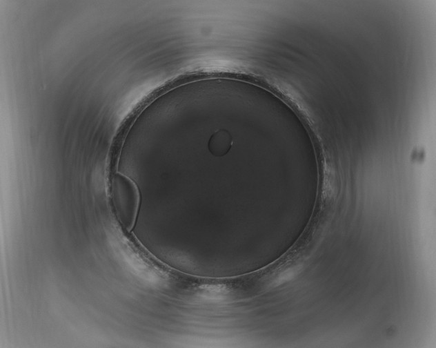 X0000112520391200908311402