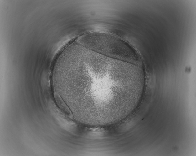 X0000112520395200908311402