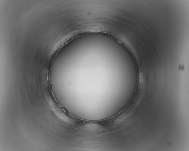 X0000112520397200908311402
