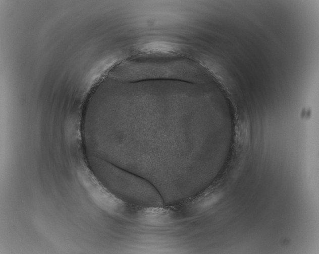 X0000112520399200908311402