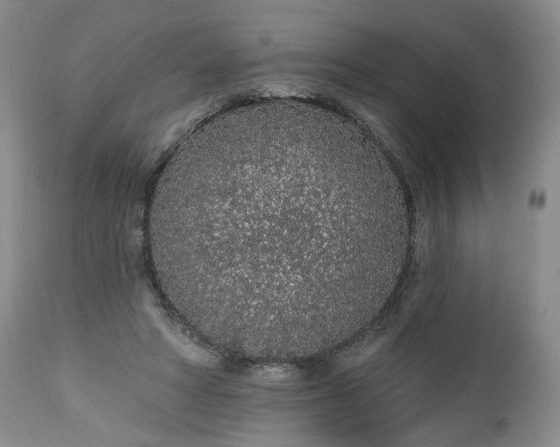 X0000112520402200908311402