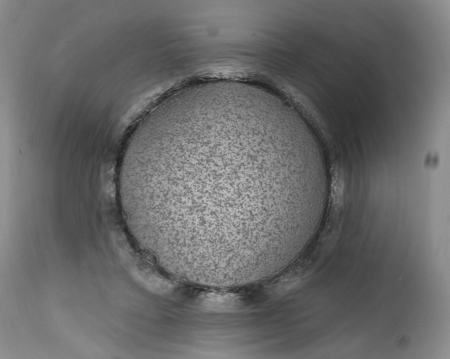 X0000112520403200908311402