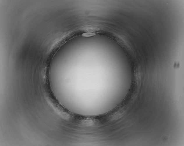 X0000112520404200908311402