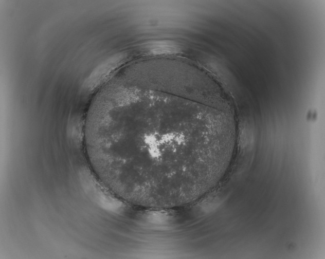 X0000112520405200908311402