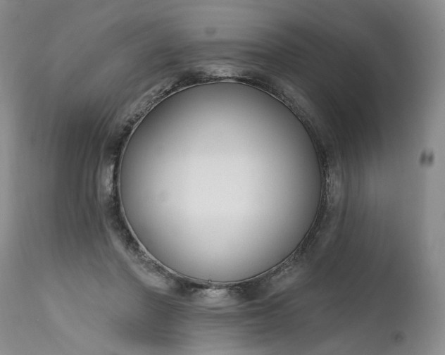X0000112520406200908311402