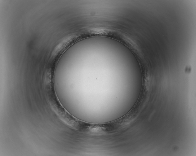 X0000112520407200908311402