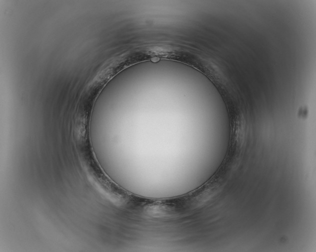 X0000112520408200908311402