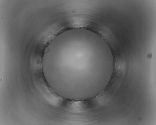 X0000112520411200908311402