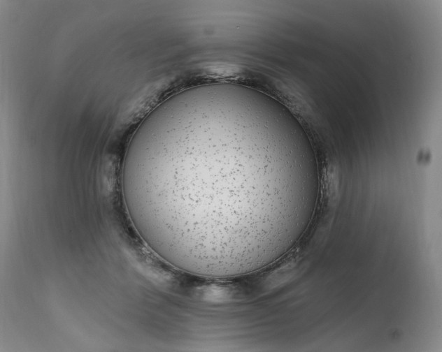 X0000112520412200908311402