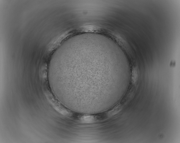 X0000112520413200908311402