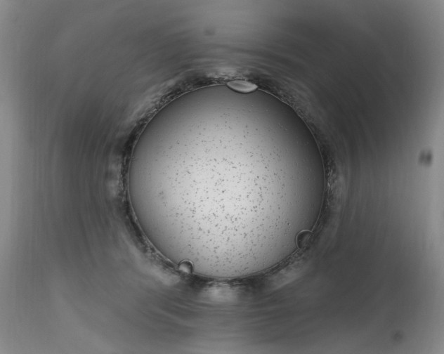 X0000112520416200908311402