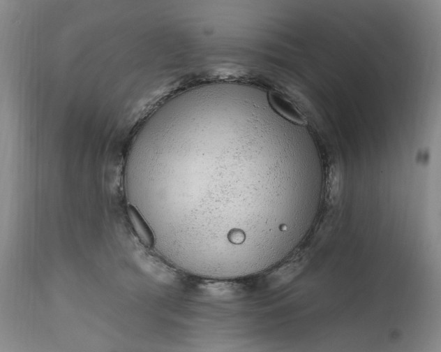 X0000112520417200908311402