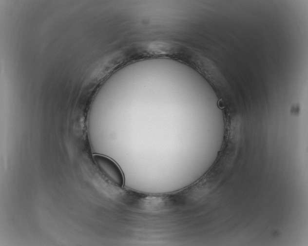 X0000112520418200908311402