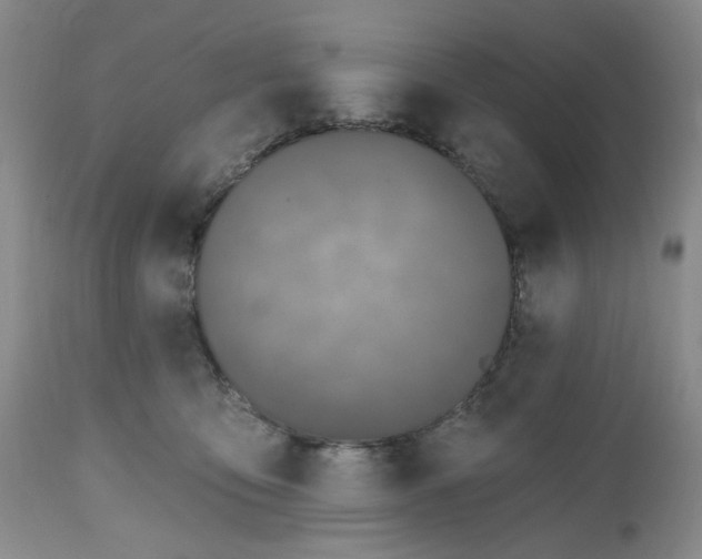 X0000112520419200908311402