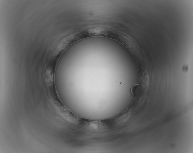 X0000112520420200908311402