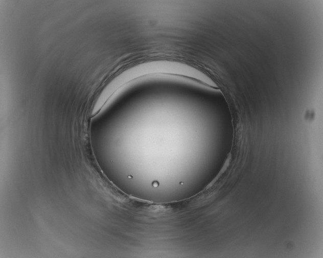 X0000112520421200908311402