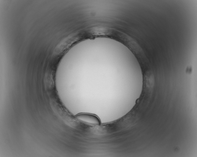 X0000112520422200908311402