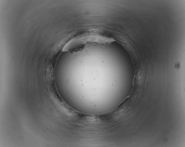 X0000112520424200908311402
