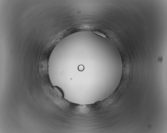 X0000112520425200908311402